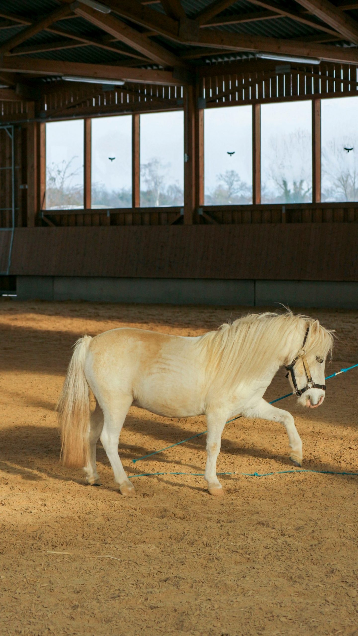 From Dust to Grace: Bliss’s Journey