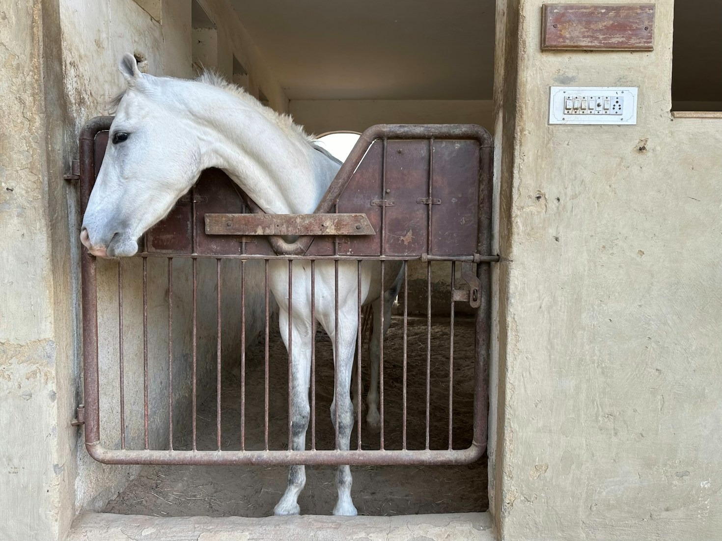 Bliss’s First Steps Towards Trust and Freedom